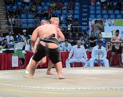 В Гаосюне завершился Чемпионат мира по сумо