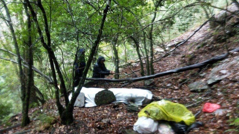 Погибла тайваньская блогерша, снимавшаяся в купальнике на горных вершинах