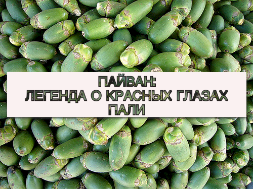 Пайван: Легенда о красных глазах Пали
