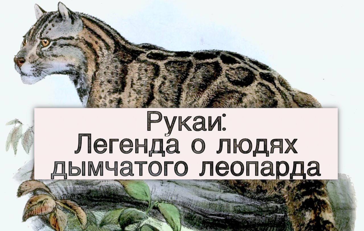 Рукаи: Легенда о людях дымчатого леопарда