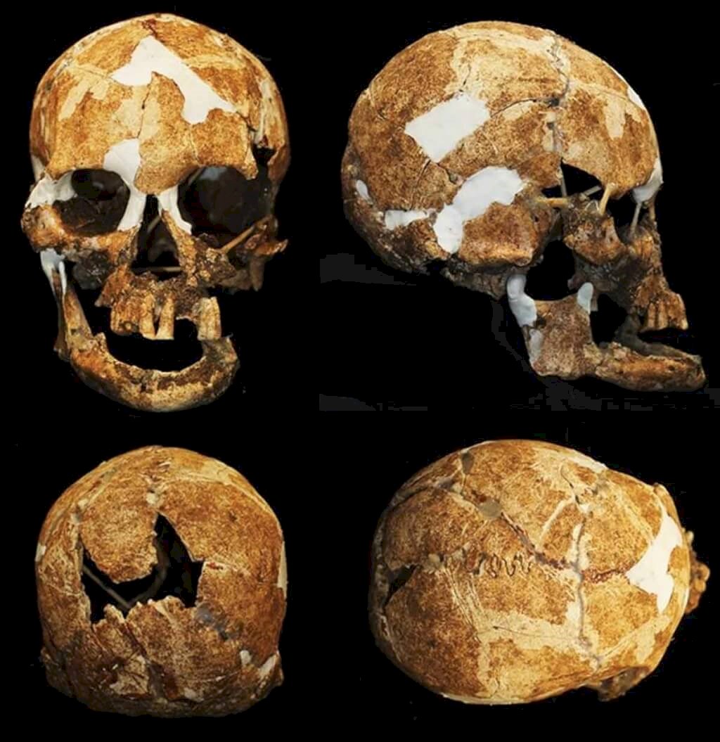 В Тайдуне нашли останки человеческого скелета 6000-летней давности
