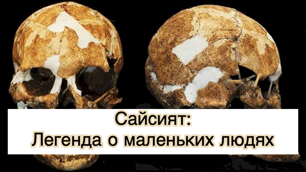 Сайсият: Легенда о маленьких людях